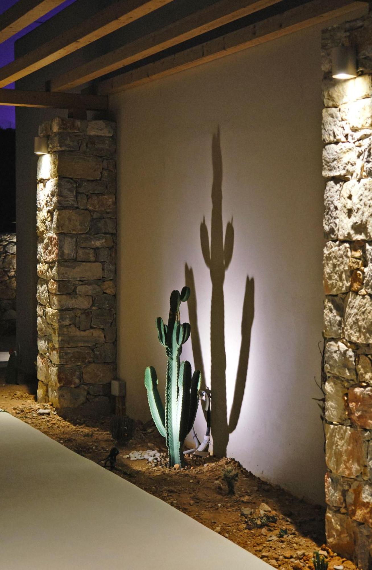 Agave Donousa Suites Eksteriør bilde